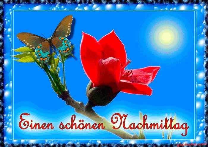 Rote Blume und Schmetterling an einem sonnigen Nachmittag, blauer Himmel, freundliche Stimmung.