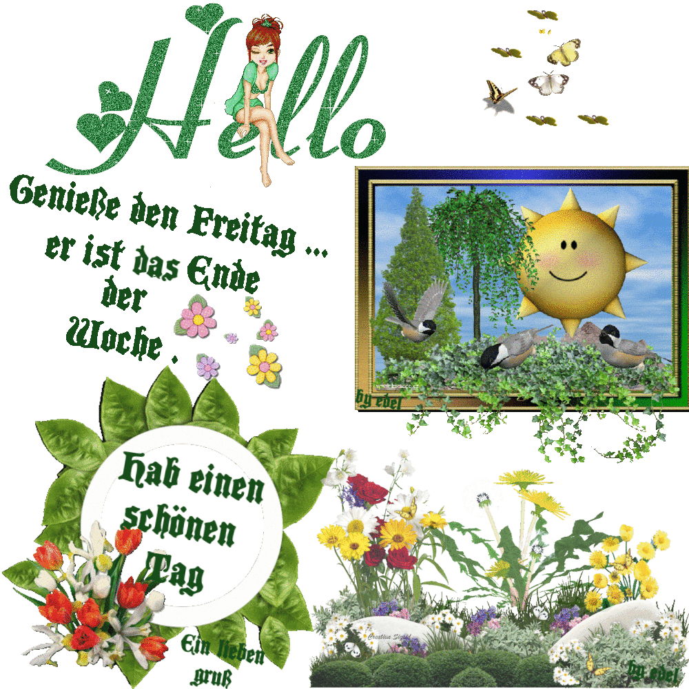 Fröhliche Grußkarte mit Sonne, Vögeln und Blumen zum Freitag.