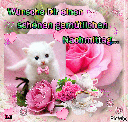 Weißes Kätzchen mit rosa Schleife vor Rosen und Teestunde am Nachmittag.