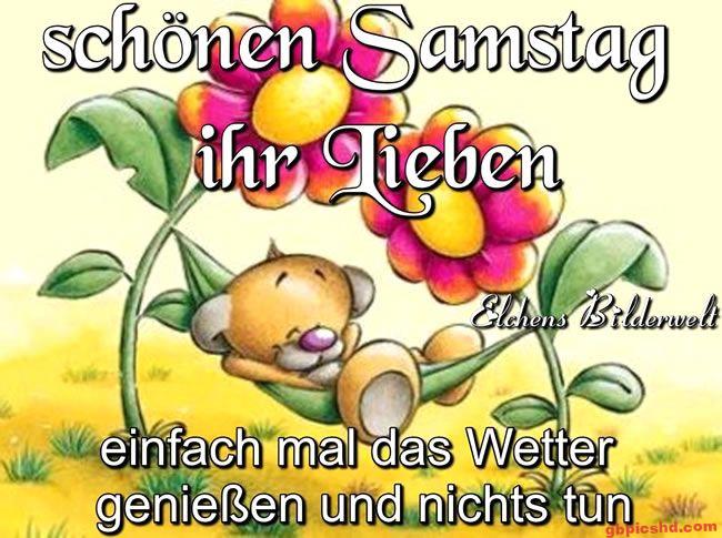 Ein entspannter Bär in einer Hängematte zwischen zwei bunten Blumen, mit Sonnenschein im Hintergrund.