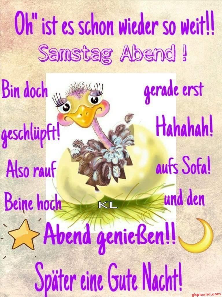 Lustiger Vogel schlüpft aus Ei mit Text zum Samstagabend zum Entspannen und Gute Nacht wünschen.