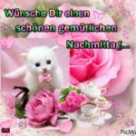 Gif Bilder Nachmittag