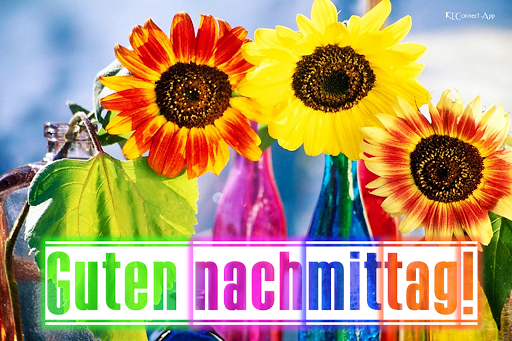 Drei Sonnenblumen in bunten Farben vor Glasflaschen als Hintergrund, fröhliche Stimmung am Nachmittag.