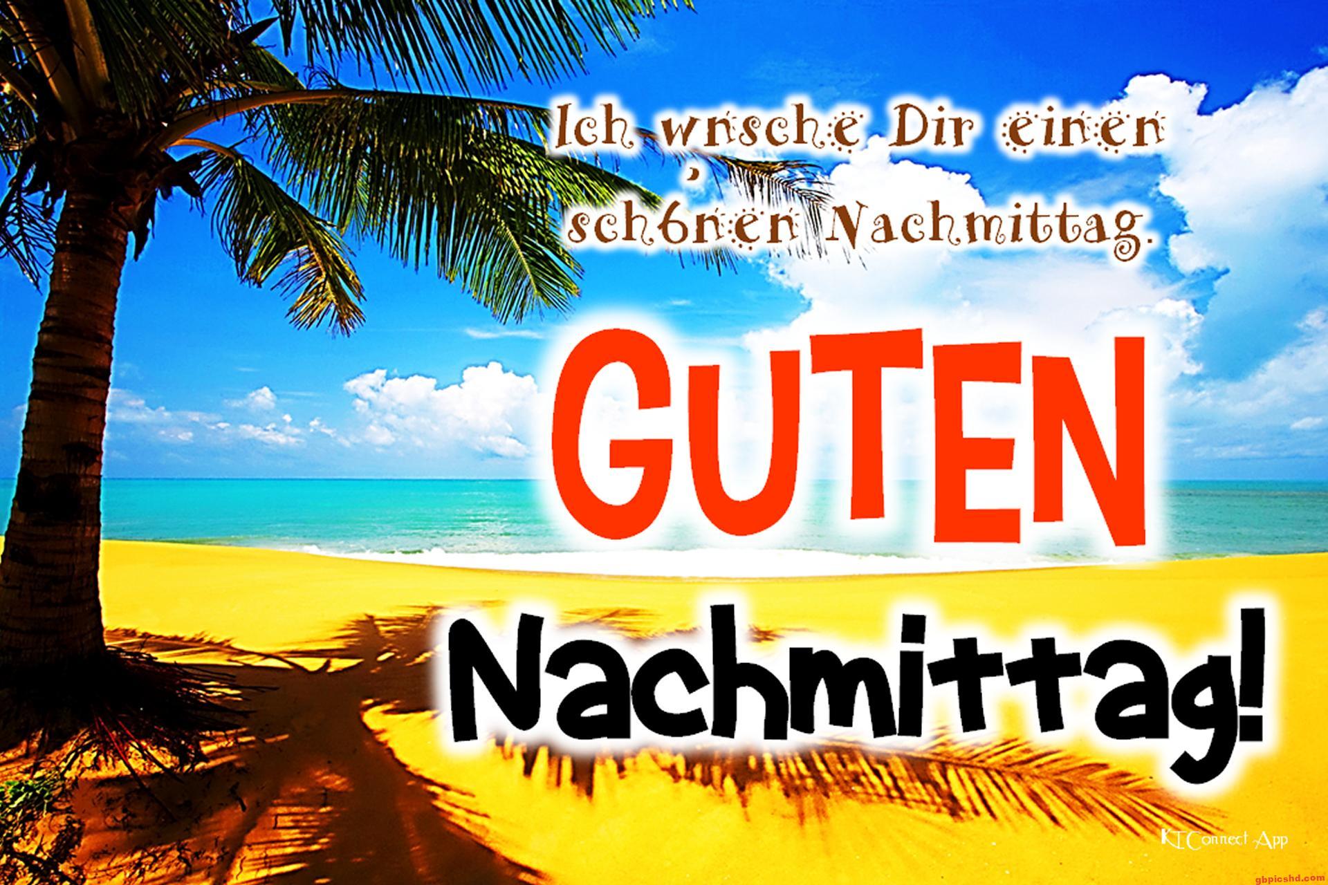 Sonniger Strand mit Palmen und Meer, dazu ein Gruß für einen schönen Nachmittag.
