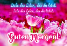 Gute Nachmittag Bilder