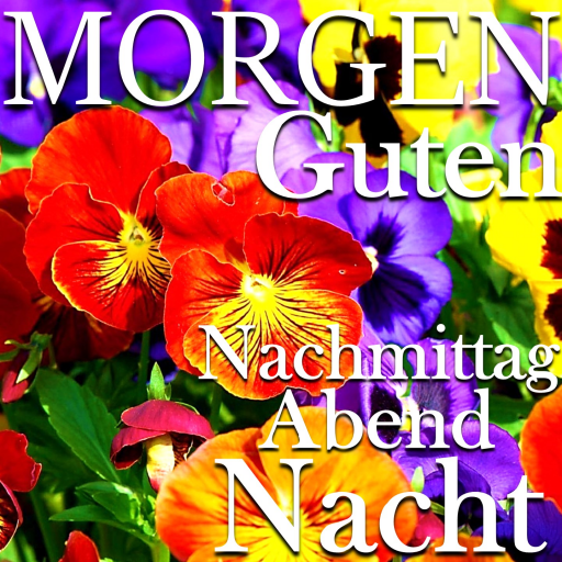 Bunte Blumen mit Text zu verschiedenen Tageszeiten auf Deutsch.