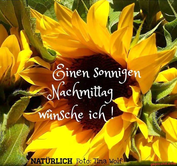 Zwei gelbe Sonnenblumen mit einem sommerlichen Nachmittagsgruß in deutscher Sprache.