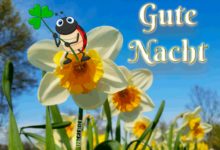 Gute Nacht Bilder Animiert