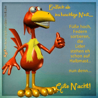 Comic-Vogel gibt Daumen hoch und wünscht gute Nacht mit humorvollem Text.