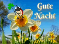 Gute Nacht Bilder Gifs Kostenlos