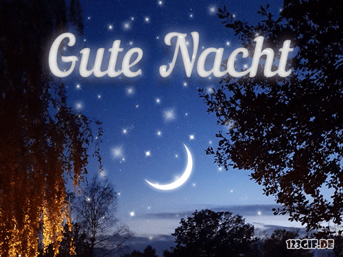 Ein Nachthimmel mit Mond und Sternen, umgeben von Bäumen, symbolisiert eine gute Nacht.