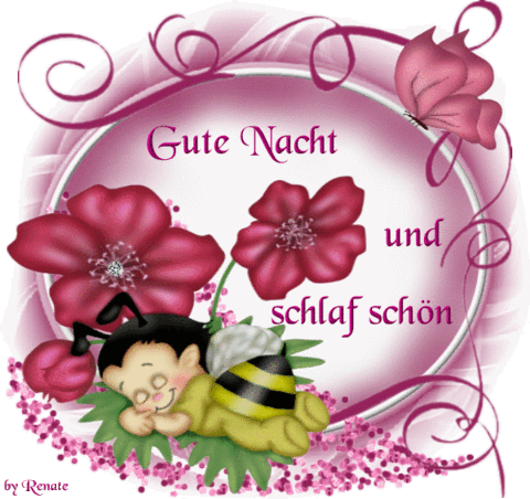 Niedlicher Marienkäfer schläft friedlich auf Blättern mit roten Blumen, Gute Nacht Gruß.