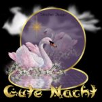 Gute Nacht Bilder Kostenlos Gif