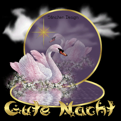 Zwei Schwäne im Wasser mit Blumen vor lila Himmel und goldenem Stern, Gute Nacht Gruß.