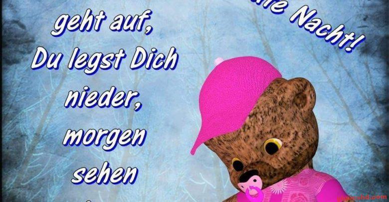 Teddybär mit Mütze und Schnuller in einem Wald, vermittelt eine ruhige Abendstimmung.