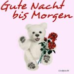 Gute Nacht Bilder Kostenlos Lustig