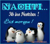 Gute Nacht Bilder Kostenlos Lustig