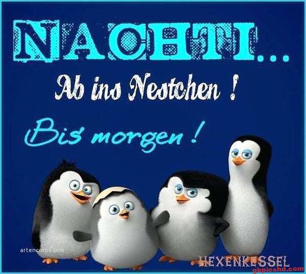 Vier niedliche Pinguine mit Gute-Nacht-Gruß auf blauem Hintergrund.