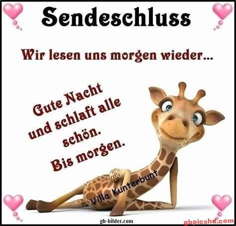 Lächelnde Giraffe mit Gute-Nacht-Gruß und Herzmotiven, freundliche Abendstimmung.