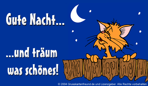 Orange Katze auf Zaun vor Nachthimmel mit Mond und Sternen, Gute-Nacht-Wünsche.