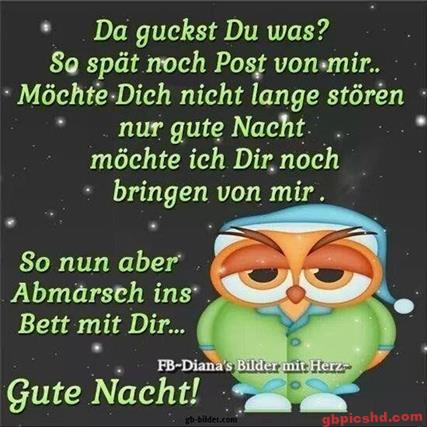 Niedliche Eule mit Schlafmütze vor Sternenhimmel, verschickt Gute-Nacht-Grüße.