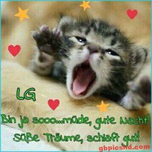 Gute Nacht Bilder Kostenlos Lustig