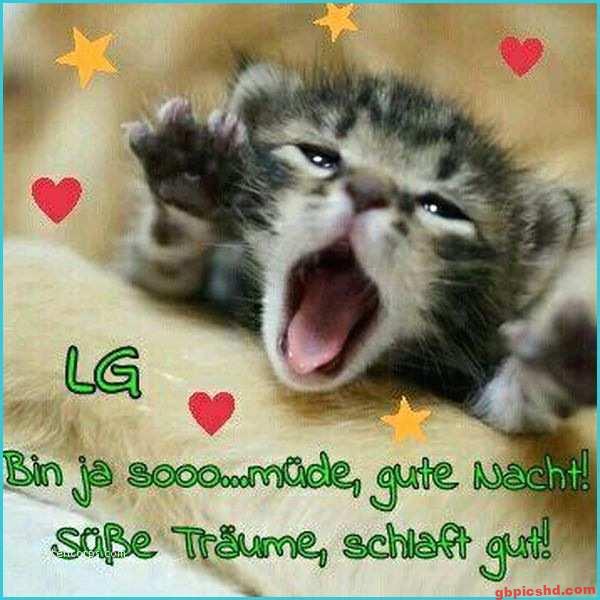 Gähnende Kätzchen mit Gute-Nacht-Wünschen, Herz- und Sternmotive, vermittelt Müdigkeit und Schlafwünsche.