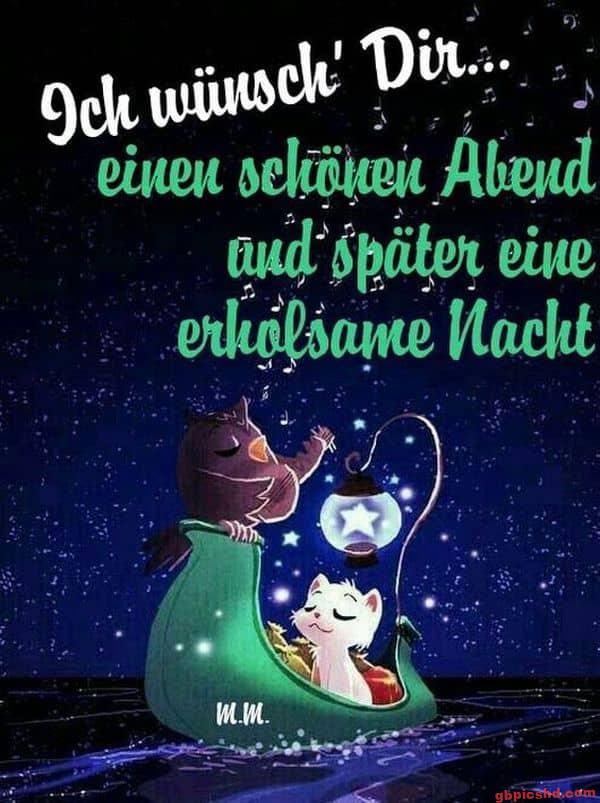 Gezeichnetes Bild von Eule und Katze auf einem Boot bei Nacht, mit einer Laterne und Sternenhimmel, gute Nacht-Grüße.