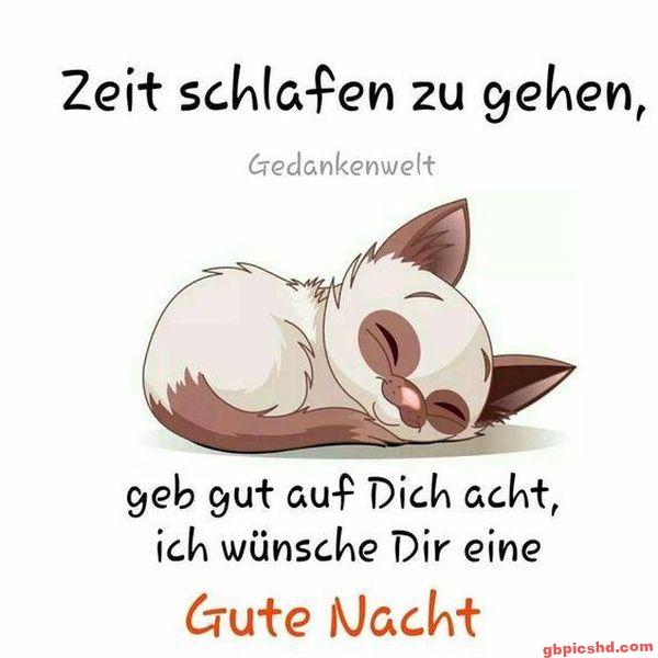 Schlafende Katze mit Grüßen zur Guten Nacht in freundlicher Stimmung.