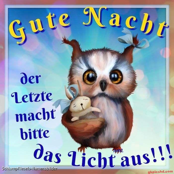 Niedliche Eule mit Kuscheltier sagt Gute Nacht und bittet das Licht auszumachen.