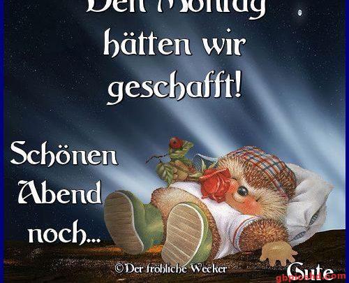 Niedlicher Igel mit Rose liegt gemütlich am Abend, Wunsch für einen schönen Abend und gute Nacht.