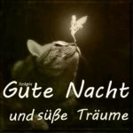Gute Nacht Bilder Kostenlos Whatsapp
