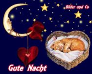 Gute Nacht Bilder Kostenlos Whatsapp