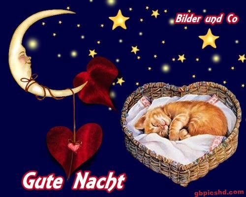 Schlafendes Kätzchen im Herzkorb mit Mond und Sternen in der Nacht, Gute Nacht Gruß.