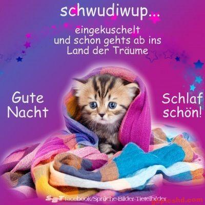 Eingekuschelt in buntem Tuch liegendes Kätzchen als Gute Nacht Gruß