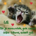 Gute Nacht Bilder Kostenlos Whatsapp