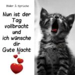 Gute Nacht Bilder Liebe