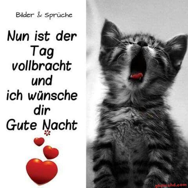 Gähnende Katze neben einer Gutenacht-Wunschbotschaft mit roten Herzsymbolen.