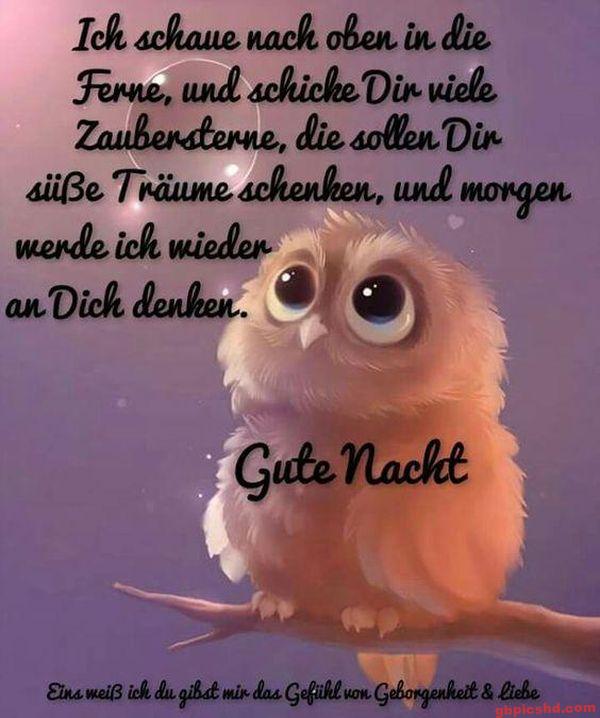 Kleine Eule auf Ast mit Gute-Nacht-Wunsch, sanfte Farben, friedliche Stimmung