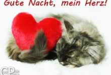 Gute Nacht Bilder Liebe