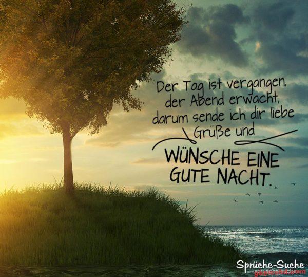 Sonnenuntergang am Meer mit Baum auf Hügel und guter Nacht Wunsch in Deutsch.