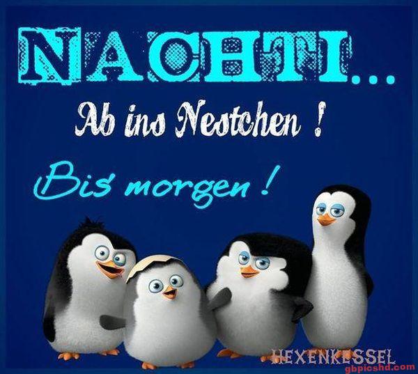 Vier Pinguinküken als Gute-Nacht-Gruß auf blauem Hintergrund mit freundlicher Stimmung.