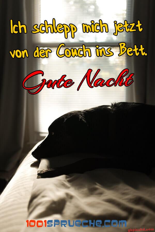 Ein schwarzer Hund liegt müde auf dem Bett, als Zeichen für Gute Nacht und Schlafenszeit.