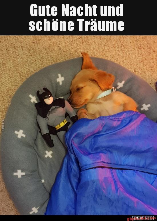 Schlafender Welpe in einem Hundebett mit Batman-Puppe und blauer Decke, Gute-Nacht-Motiv.