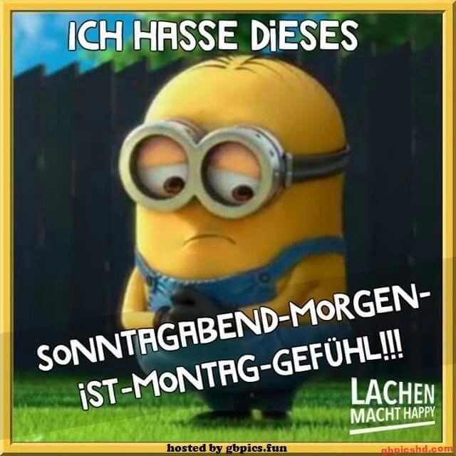 Trauriger Minion, der das Sonntagsabend-Morgen-ist-Montag-Gefühl ausdrückt.