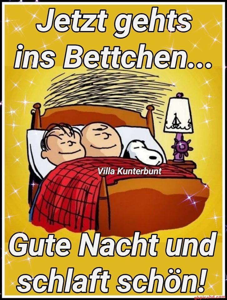 Illustration von zwei Personen und einem Hund im Bett mit Gute-Nacht-Grüßen.