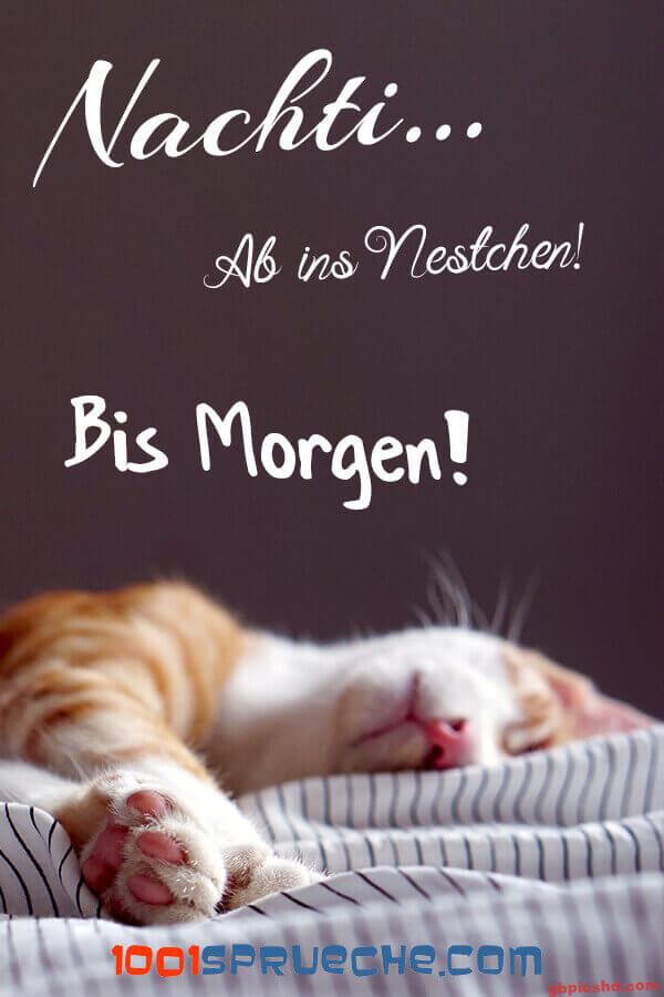 Schlafende Katze auf gestreiftem Bett, gute Nacht Gruß in deutscher Sprache.