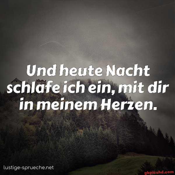 Düster bewaldeter Hügel bei Nacht mit romantischem Text in Deutsch.