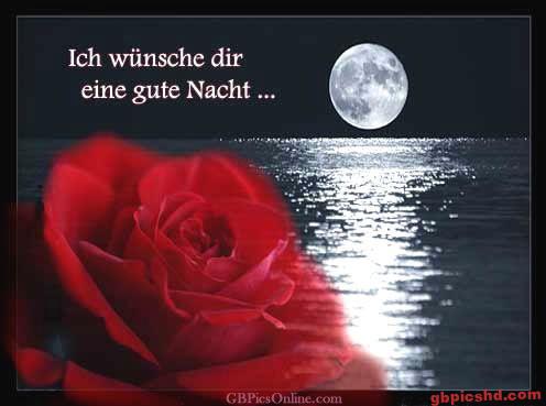Rote Rose vor nächtlichem See mit Mond, gute Nacht Gruß.