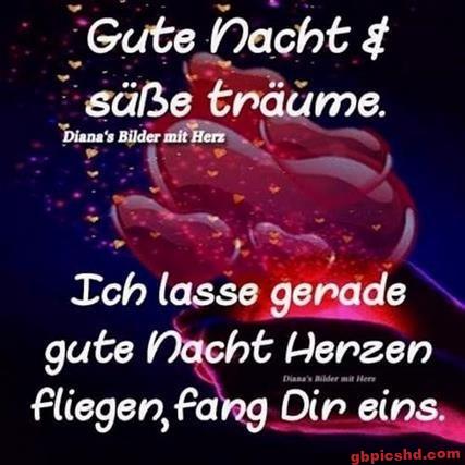 Rosen und Hände mit fliegenden roten Herzen zum Thema Gute Nacht und süße Träume.